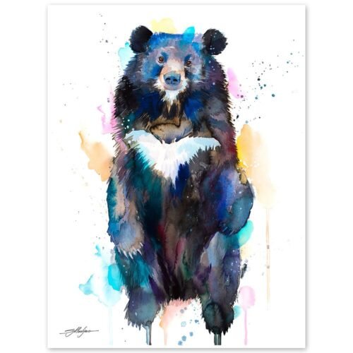 Asian black bear