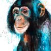 Baby Chimp Chimpanzee