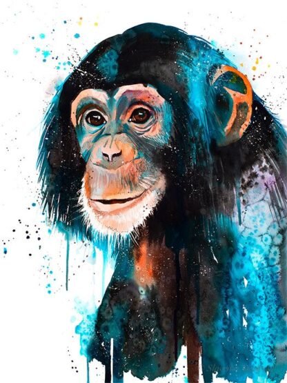Baby Chimp Chimpanzee