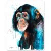 Baby Chimp Chimpanzee