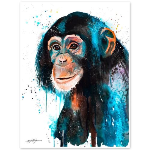 Baby Chimp Chimpanzee