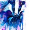 Badger Badger