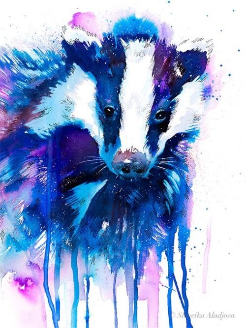 Badger