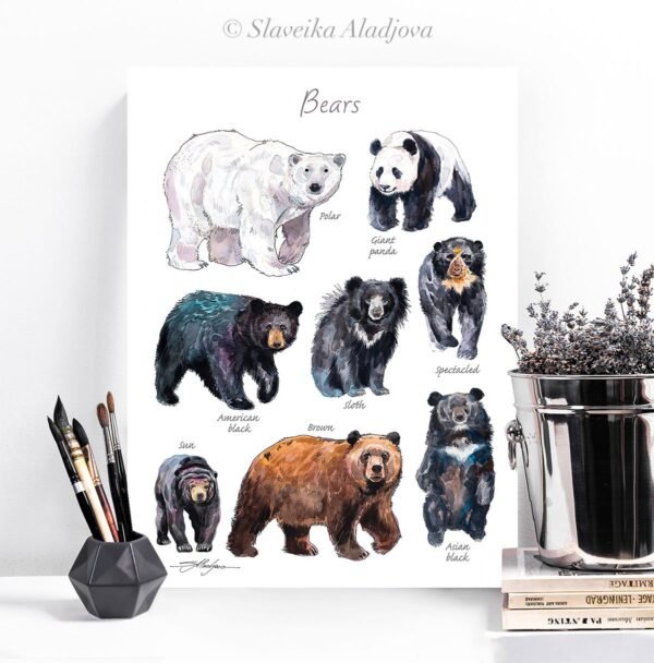 Bears watercolor 2 Bears