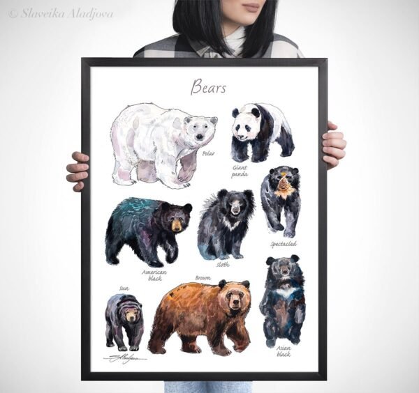 Bears watercolor 5 Bears