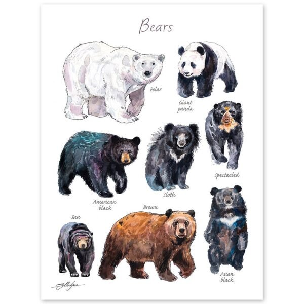 Bears watercolor 7 Bears