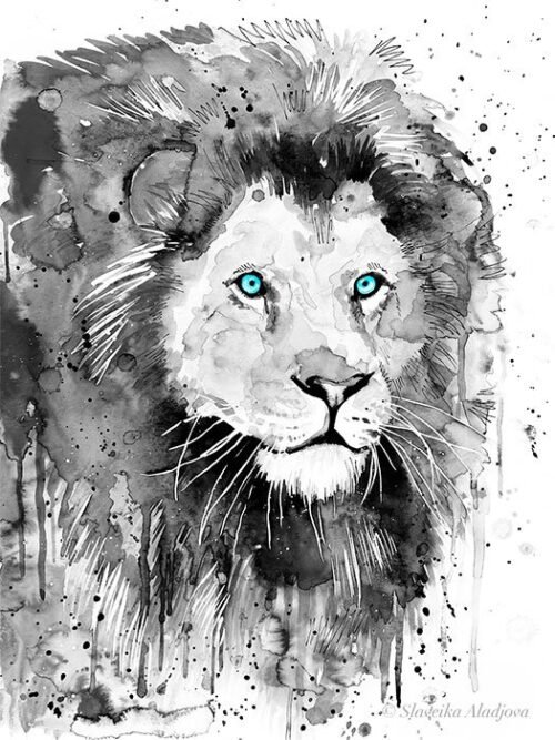 Black and white Lion