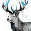Black and white Red Deer