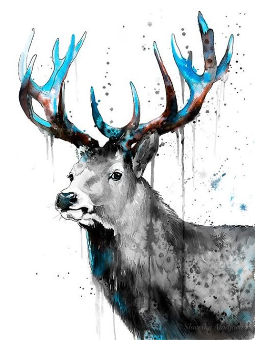 Black and white Red Deer