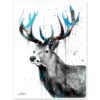 Black and white Red Deer