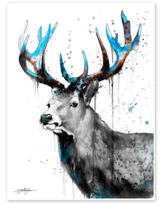 Black and white Red Deer