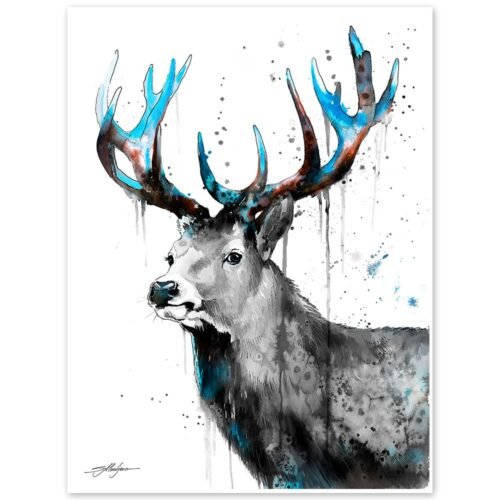 Black and white Red Deer