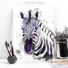 Black and white Zebra