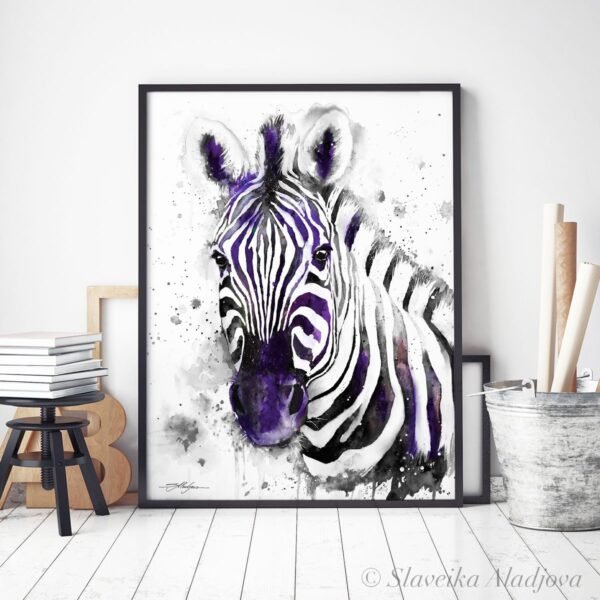 Black and white Zebra