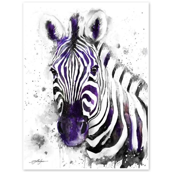 Black and white Zebra