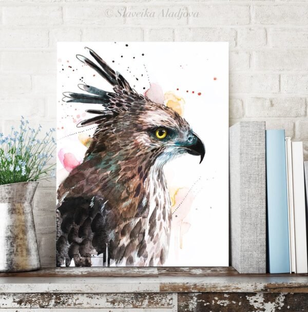 Changeable Hawk-eagle