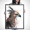Changeable Hawk-eagle