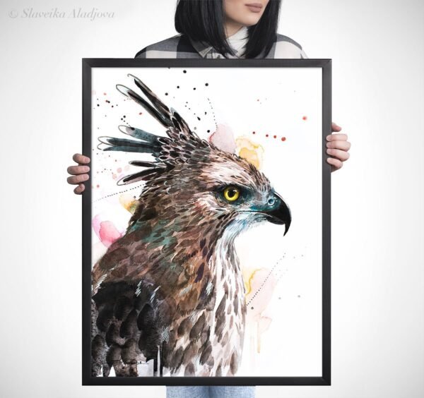 Changeable Hawk-eagle