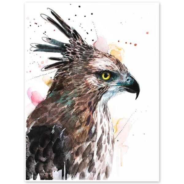 Changeable Hawk-eagle