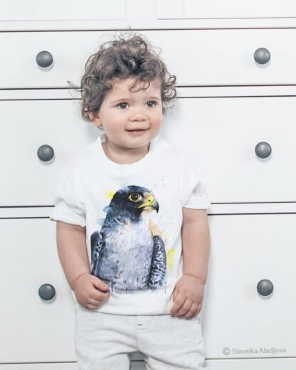 Peregrine Falcon art T-shirt