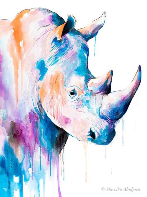 Rhino Blue