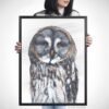 Great Grey Owl fine art print by Luke Kanelov