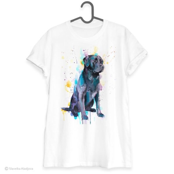 Black Labrador