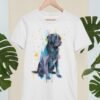 Black Labrador