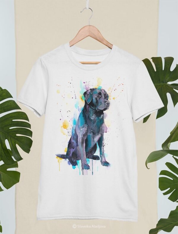 Black Labrador