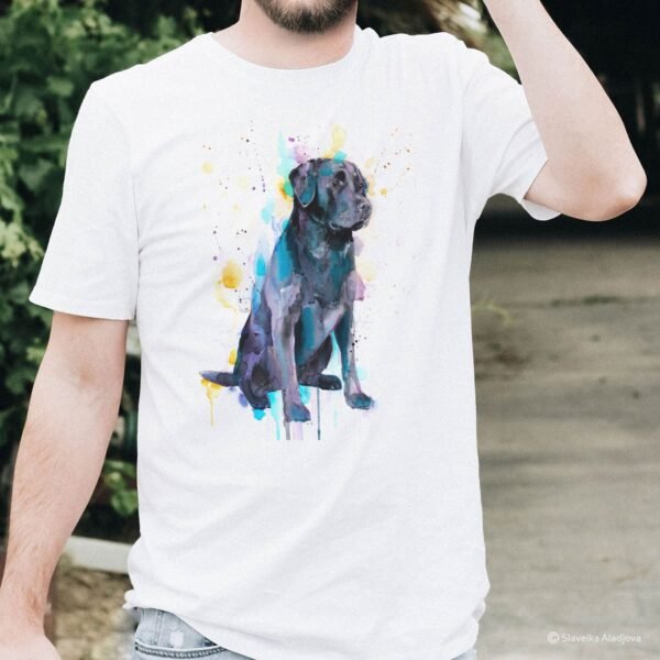 Black Labrador