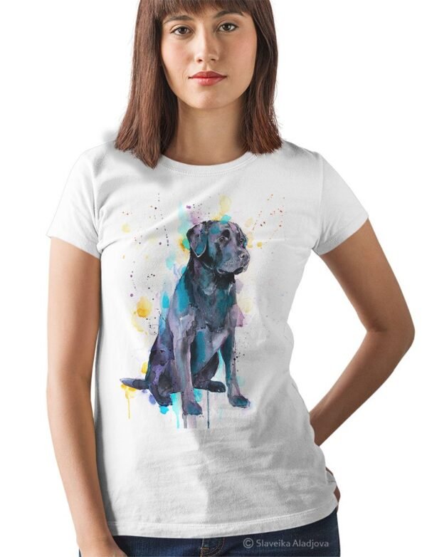 Black Labrador
