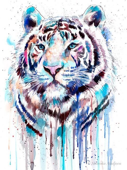 White Tiger