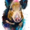 Wild boar watercolor 1 Wild boar