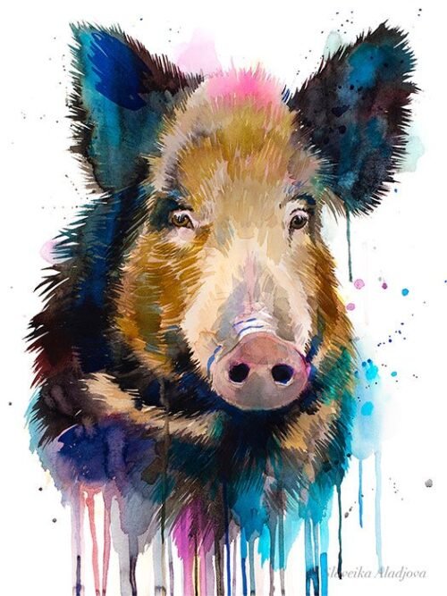 Wild boar