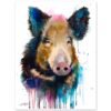 Wild boar watercolor 7 Wild boar