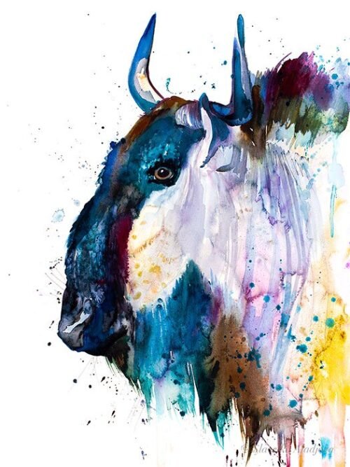 Wildebeest Gnu