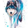 Wolf art watercolor 1 Wolf
