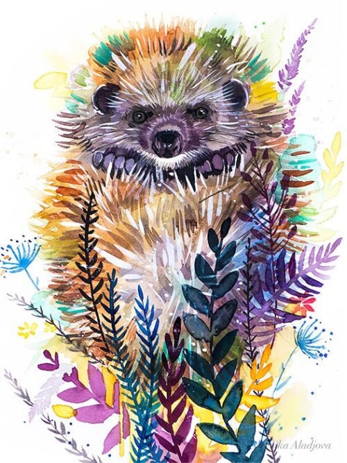 Woodland hedgehog