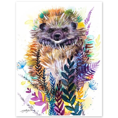 Woodland hedgehog