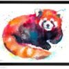 Red Panda Bear