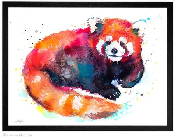 Red Panda Bear