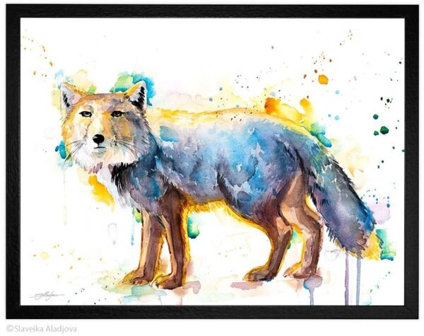 Tibetan Fox