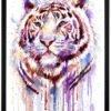 Purple tiger