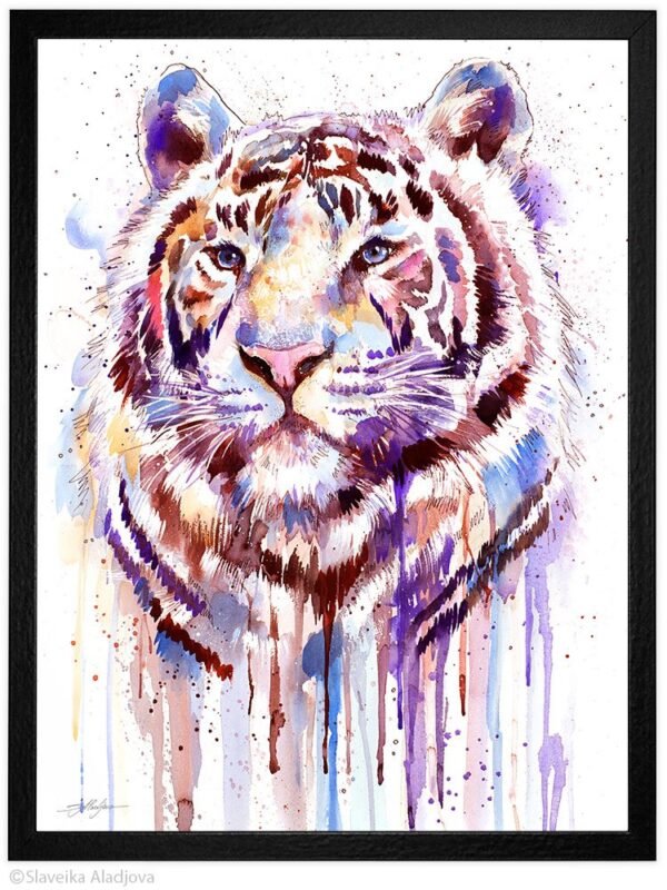Purple tiger