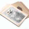 Snowy Owl Photography