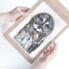 Great Grey Owl fine art print by Luke Kanelov