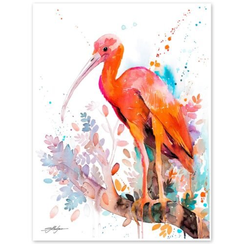 Scarlet Ibis