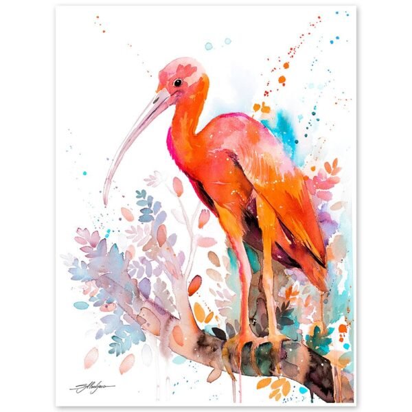Scarlet Ibis Scarlet Ibis