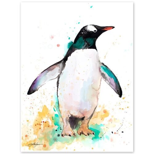 Gentoo penguin