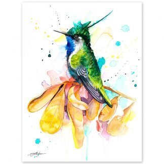 Green-crowned plovercrest hummingbird